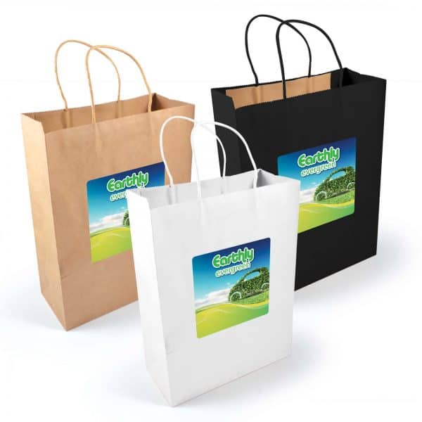 Branded Promotional Express Paper Bag Large