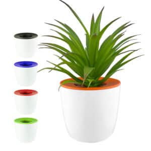 Branded Promotional Mini Desk Plant Pot