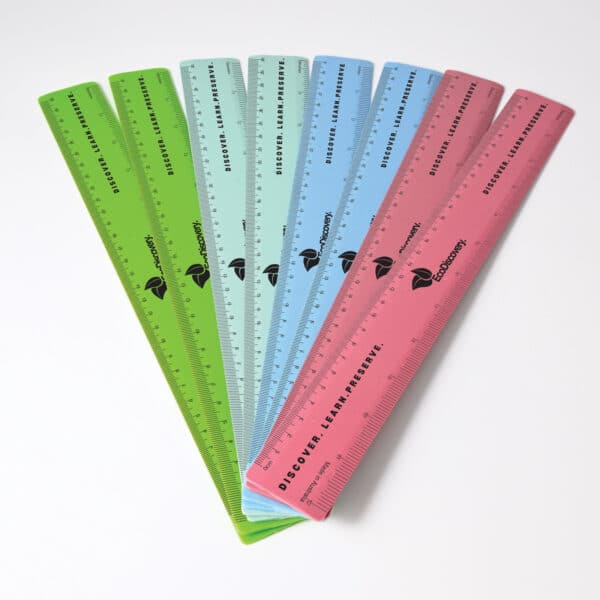 Branded Promotional Recycled Plastic Ruler 30cm