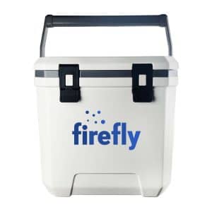 Branded Promotional Jasper Cooler Box 24L