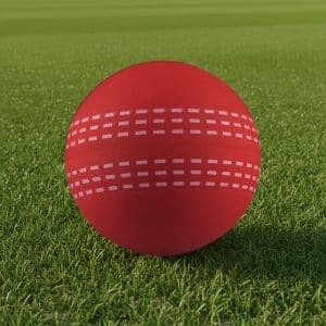 Branded Promotional High Bounce Cricket Ball